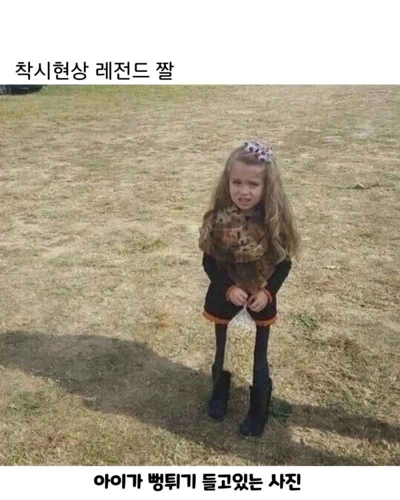 헷갈리는 착시현상
