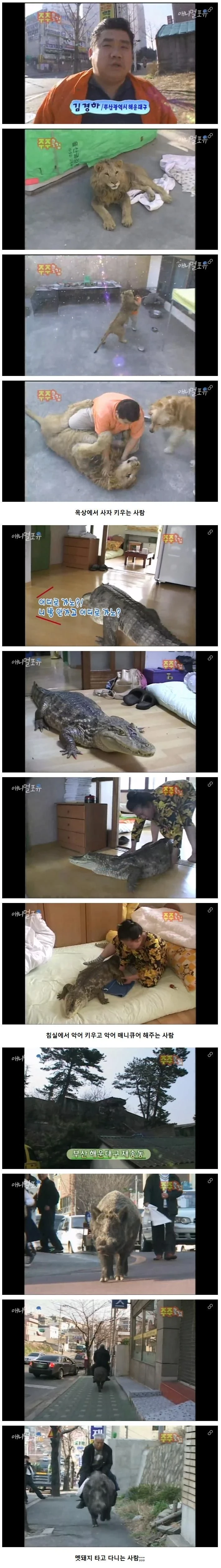 광기 가득했던 2000년대 초반