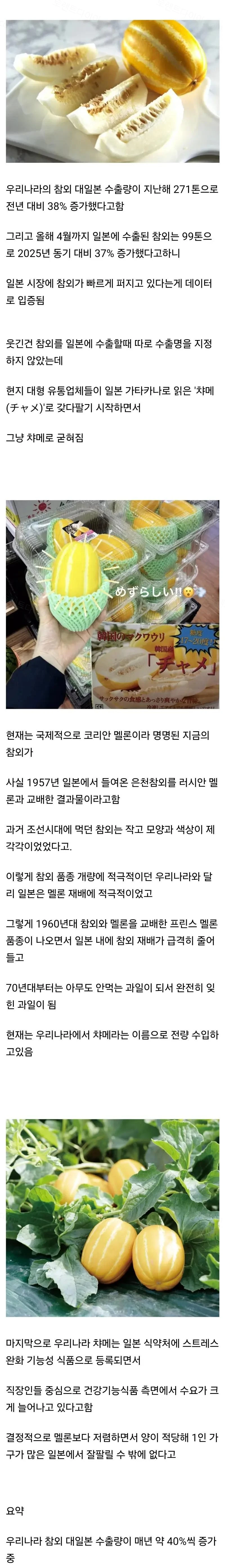 참외 수출 근황