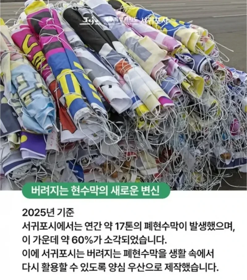 제주도에 있다는 양심 우산