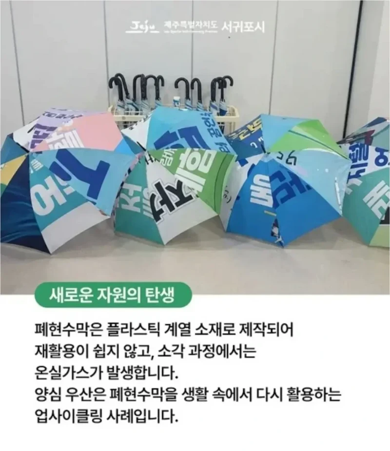 제주도에 있다는 양심 우산-2