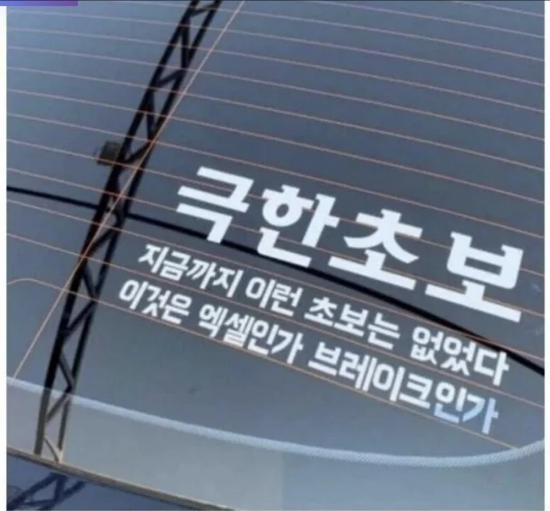 지금까지 이런 초보는 없었다