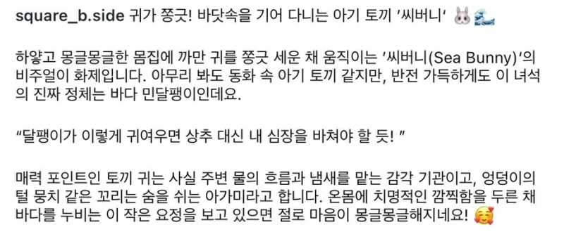 별주부에게 속은 토끼 근황-2