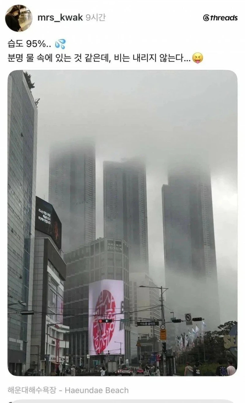 습도 95% 부산 풍경