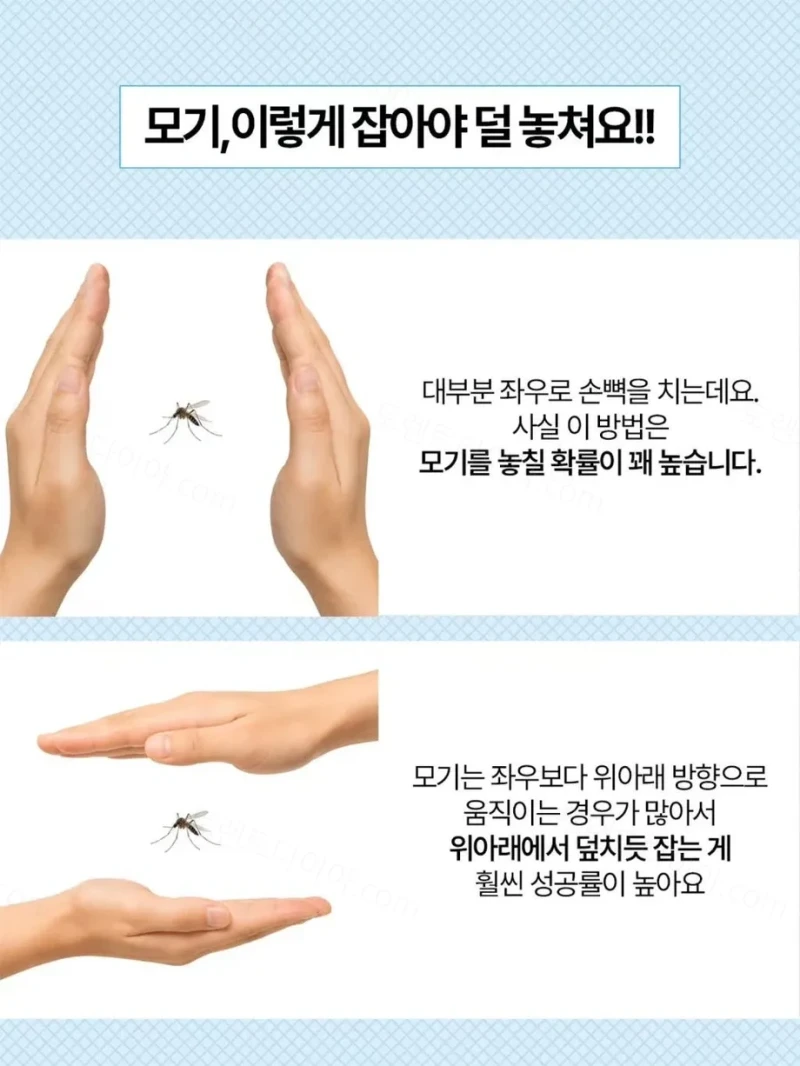 모기 무조건 잡는 방법