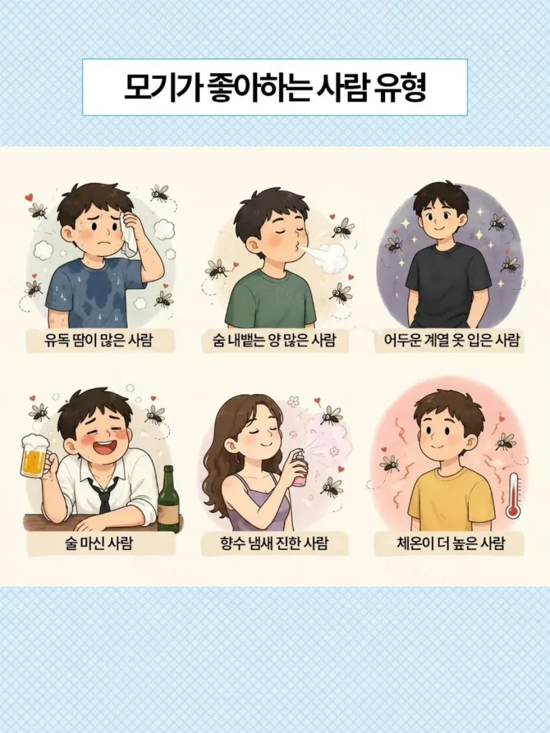 모기 무조건 잡는 방법-2