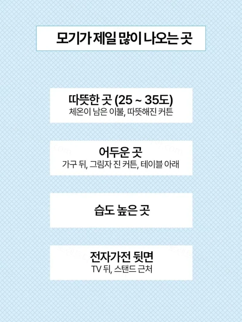 모기 무조건 잡는 방법-3
