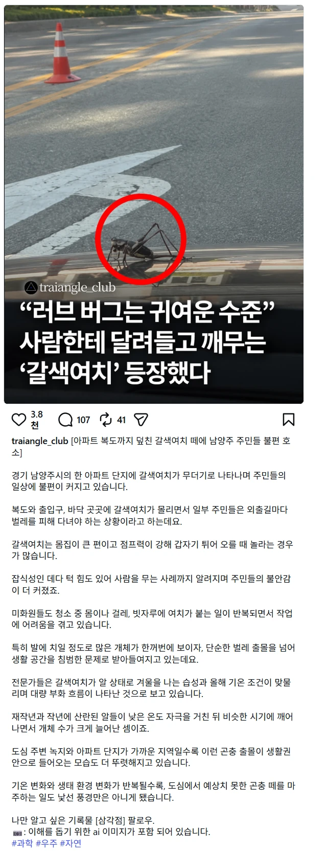 러브버그는 애교였다?!