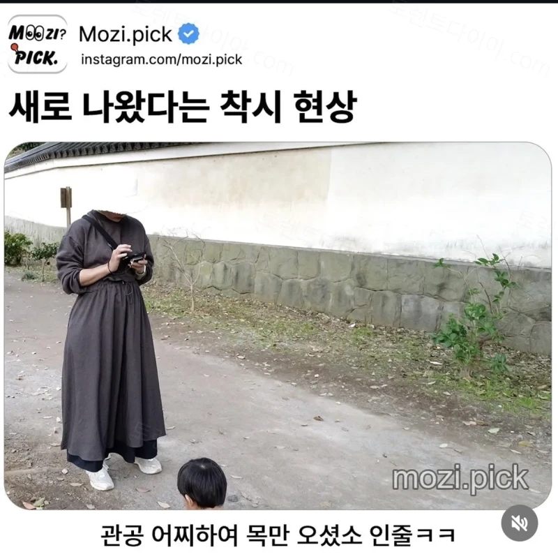 오늘의 착시짤