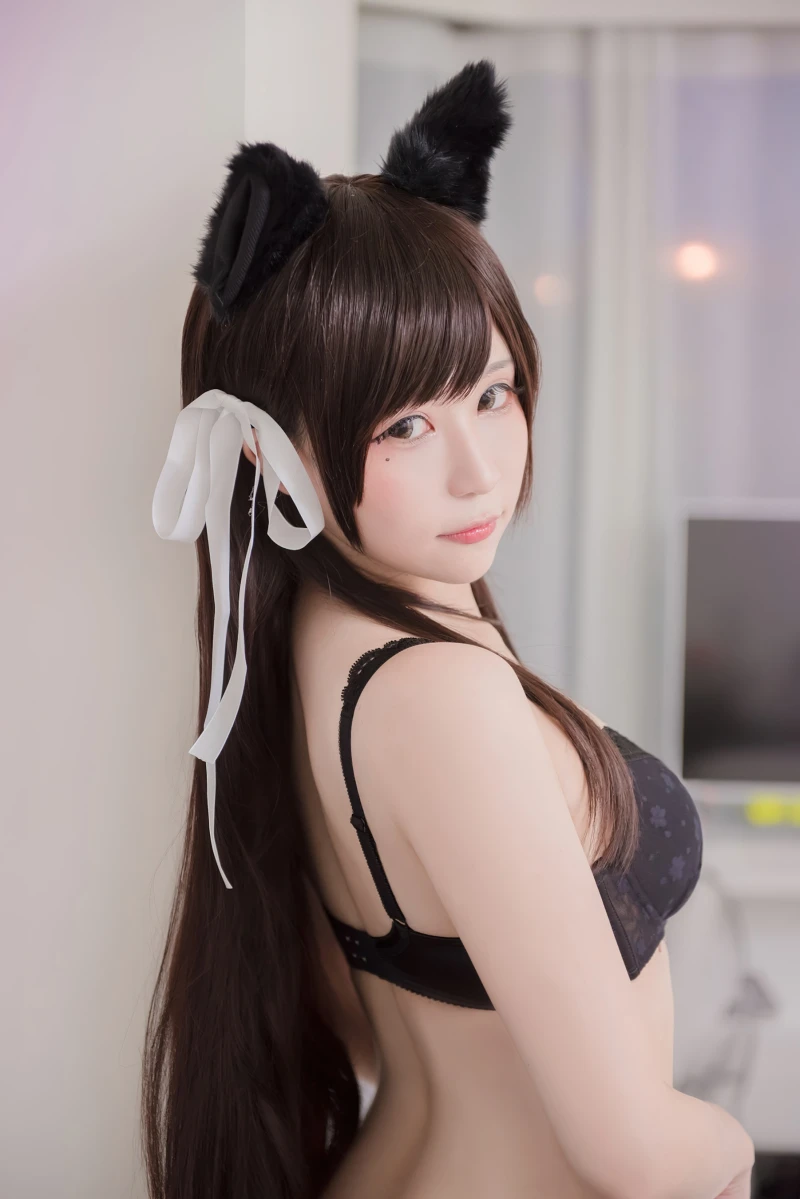 시라가 얀코-4