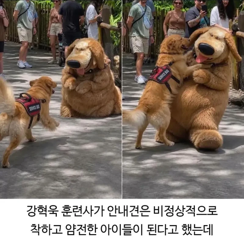 늠름하기만 한 줄 알았던 찹츄의 일탈