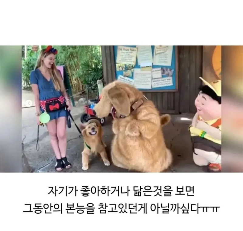 늠름하기만 한 줄 알았던 찹츄의 일탈-2