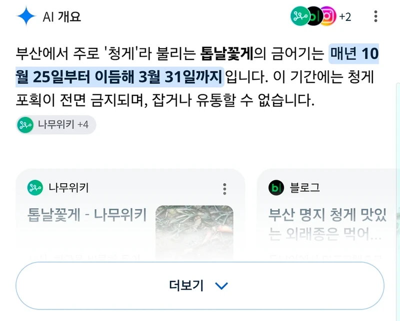 불법유입 외래종 때문에 난리라는 부산 근황-3