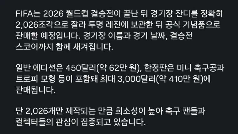 FIFA 가 월드컵 결승 종료후 하려는 사업