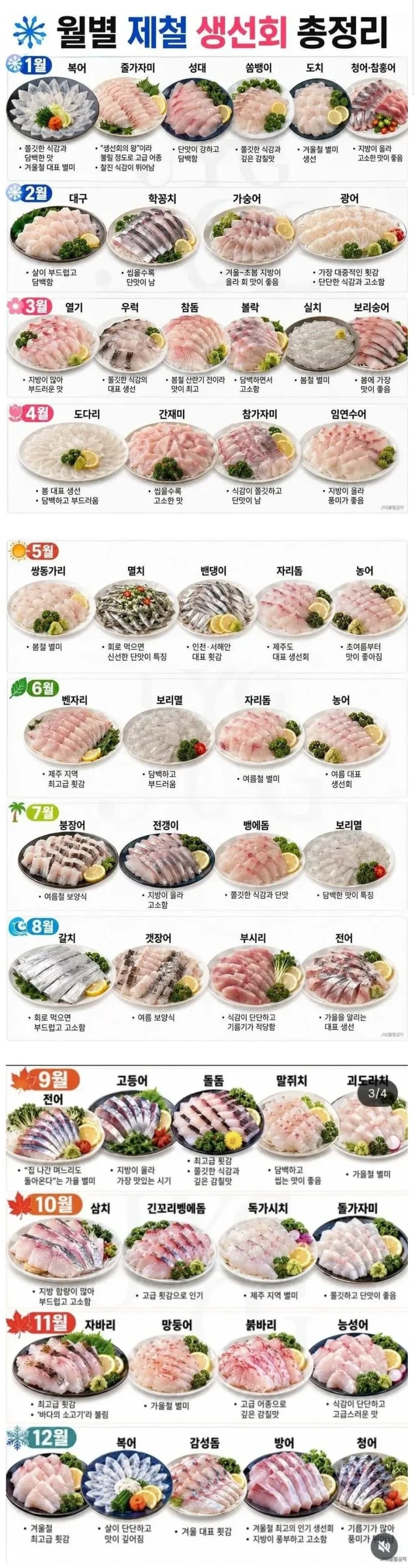 월별 제철 생선회