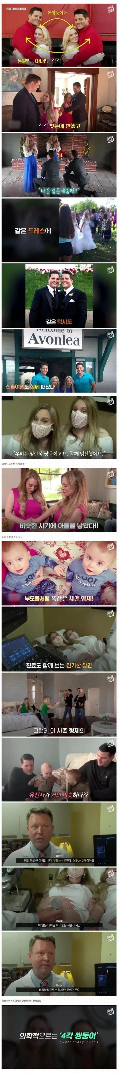 일란성 쌍둥이끼리 결혼했는데