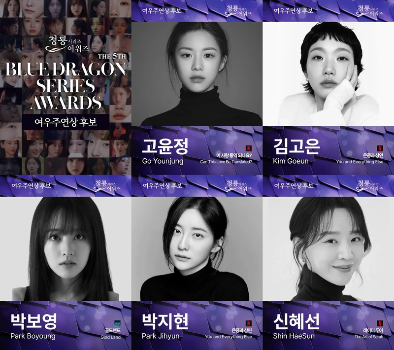 내일 개최되는 청룡 시리즈 어워즈 남우주연상 / 여우주연상 후보들-2