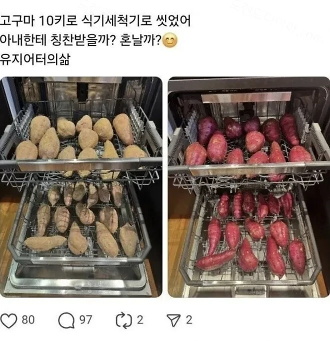 식세기의 용도