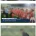 어디까지 썩은건지 감도 안오는 축구 단체