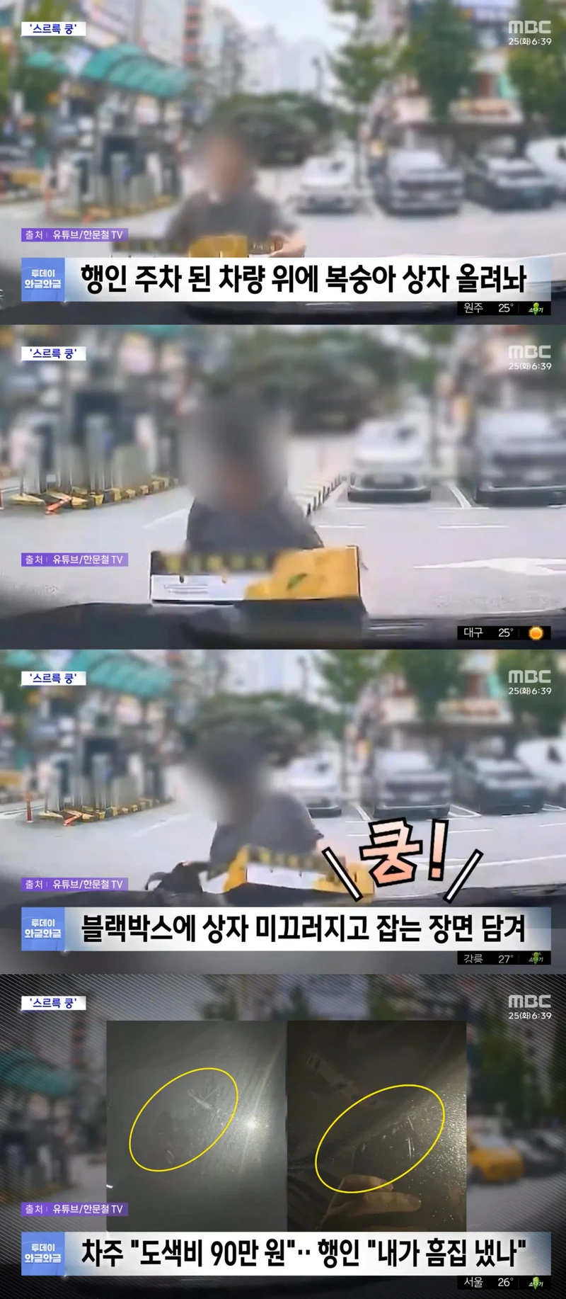 타인 차량에 무심코 올린 복숭아 상자 논란