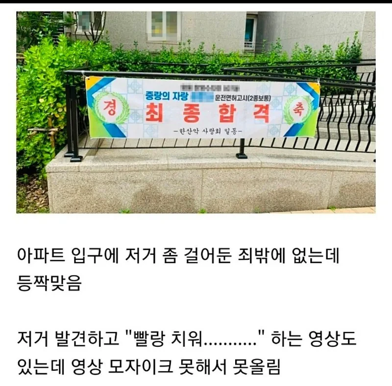 와이프 시험 합격 축하 해줬다가 등찍 맞은 남편
