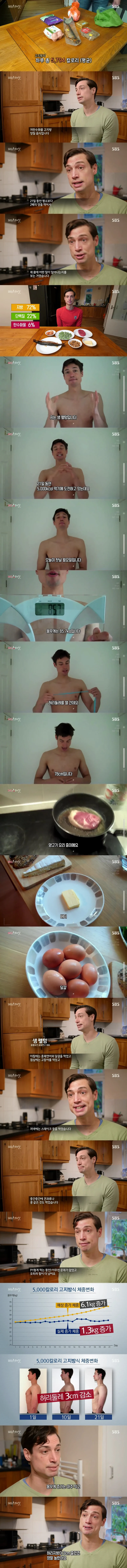 하루에 5000칼로리 먹고 뱃살 빼는 방법
