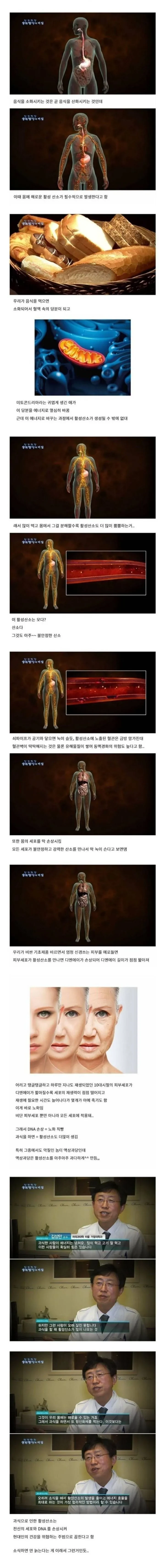 과식이 노화에 미치는 영향