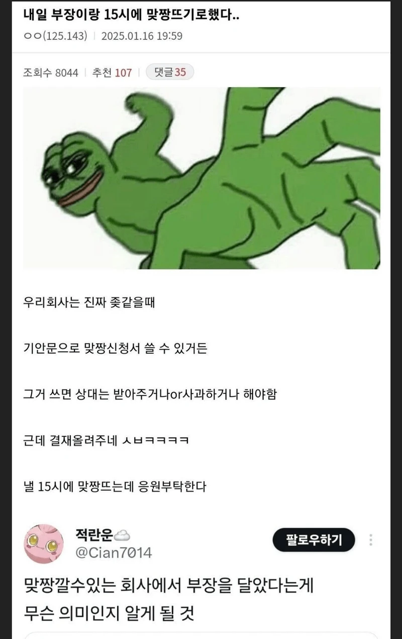 내일 부장이랑 15시에 맞짱뜨기로 했다..