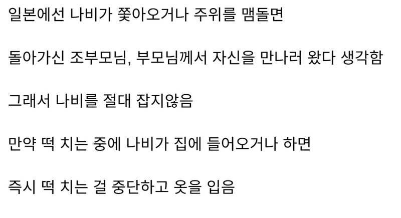 일본에서 나비를 안 잡는 이유-2