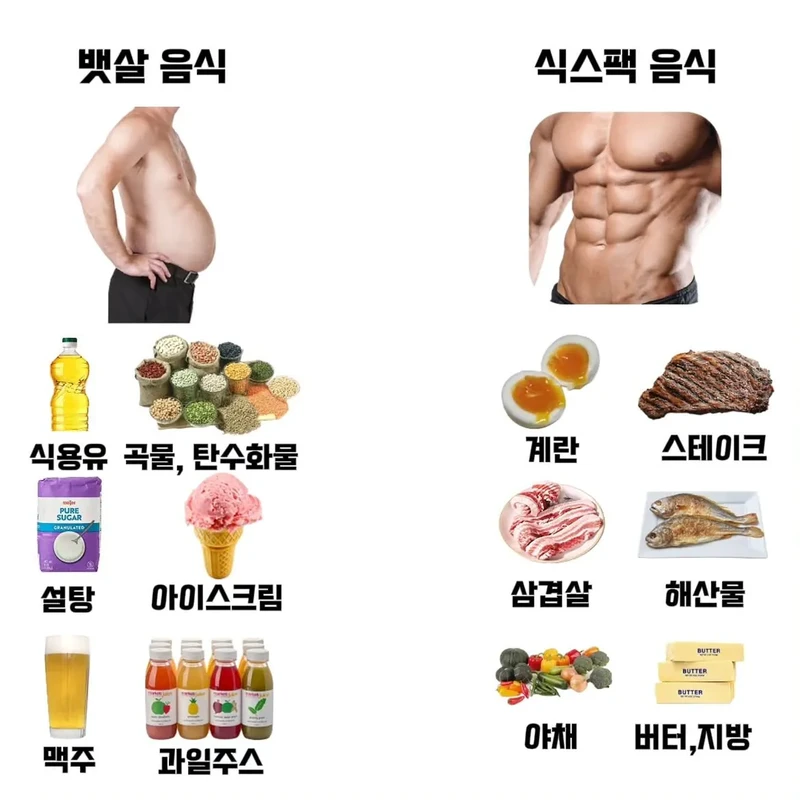 뱃살 음식 vs 식스팩 음식