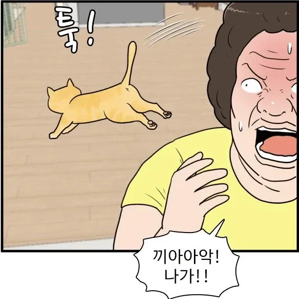 캣맘을 완벽하게 표현한 만화-4