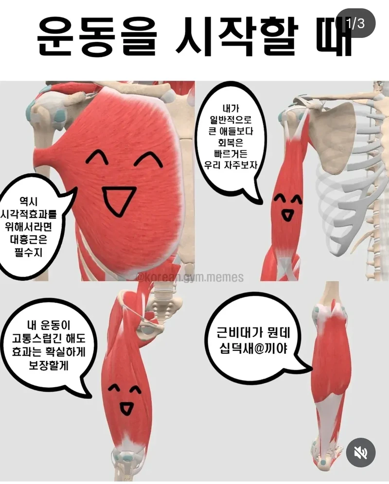 상남자 신체부위