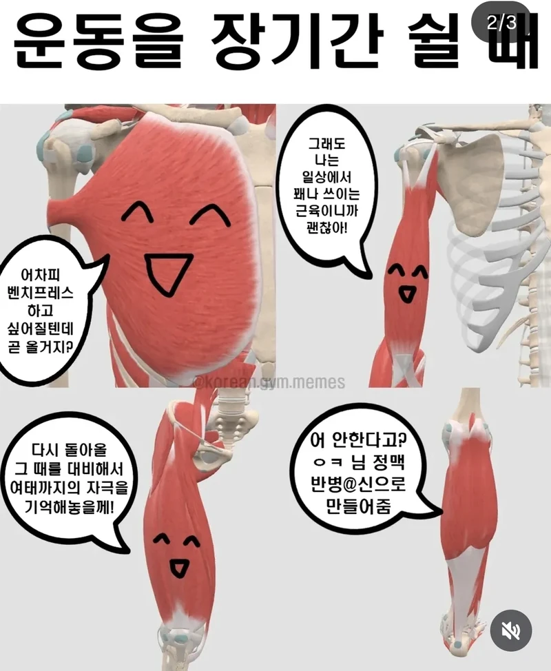 상남자 신체부위-2