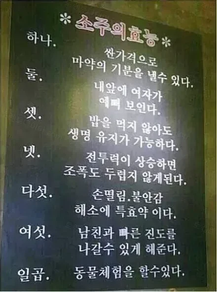 소주의효능!!!