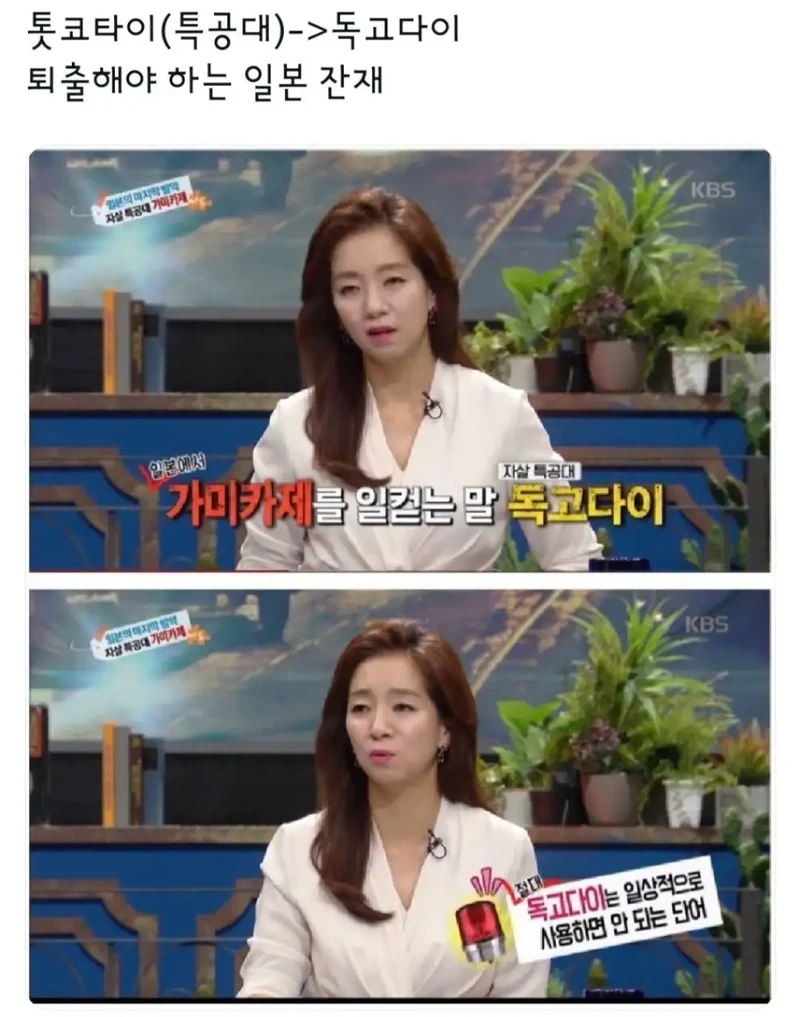 독고다이라는 말을 쓰면 안되는 이유-2