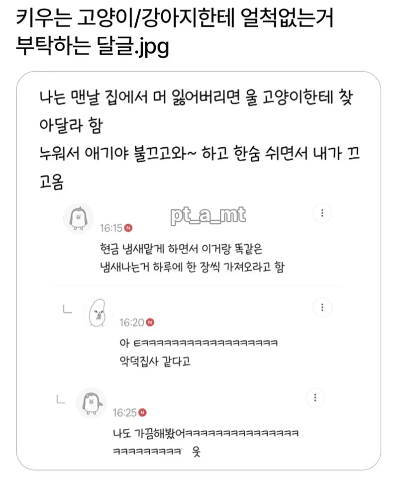 반려동물한테 얼척없는거 부탁하는 달글