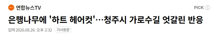 하트 헤어컷 청주시 은행나무 근황
