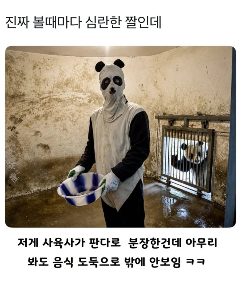 볼때마다 심란한 짤