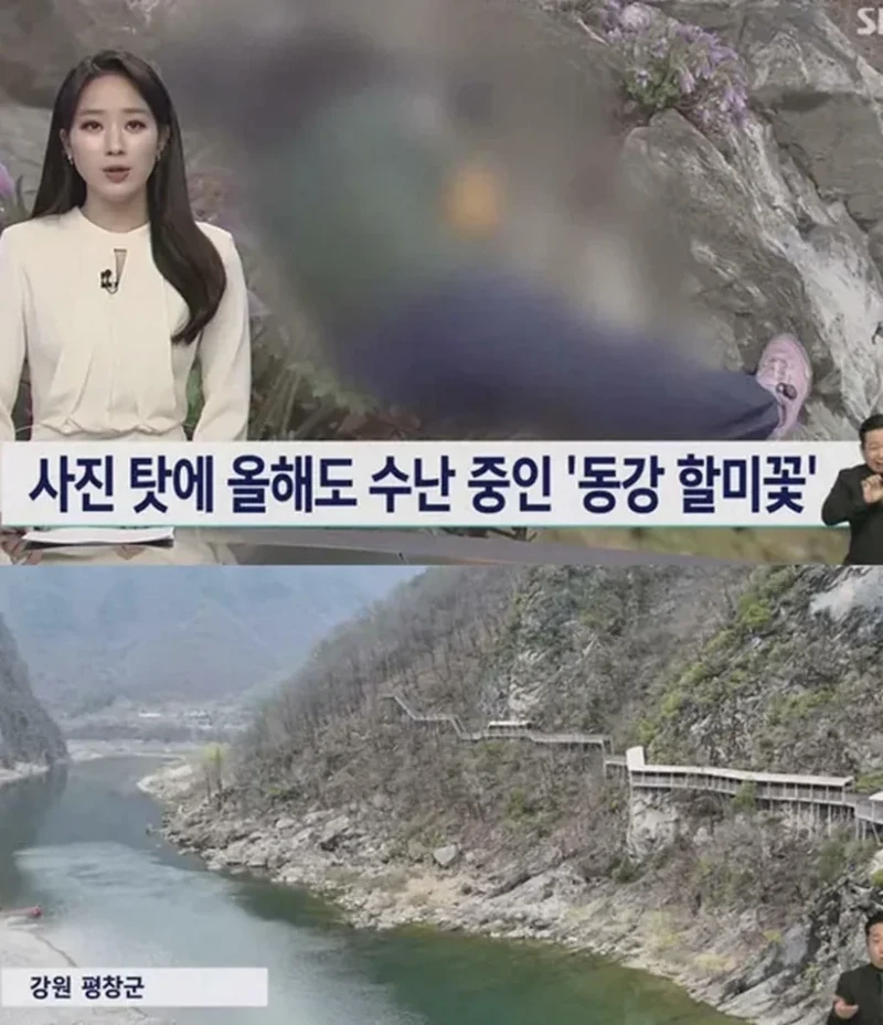 사진작가 동호회의 엽기적인 행각-2