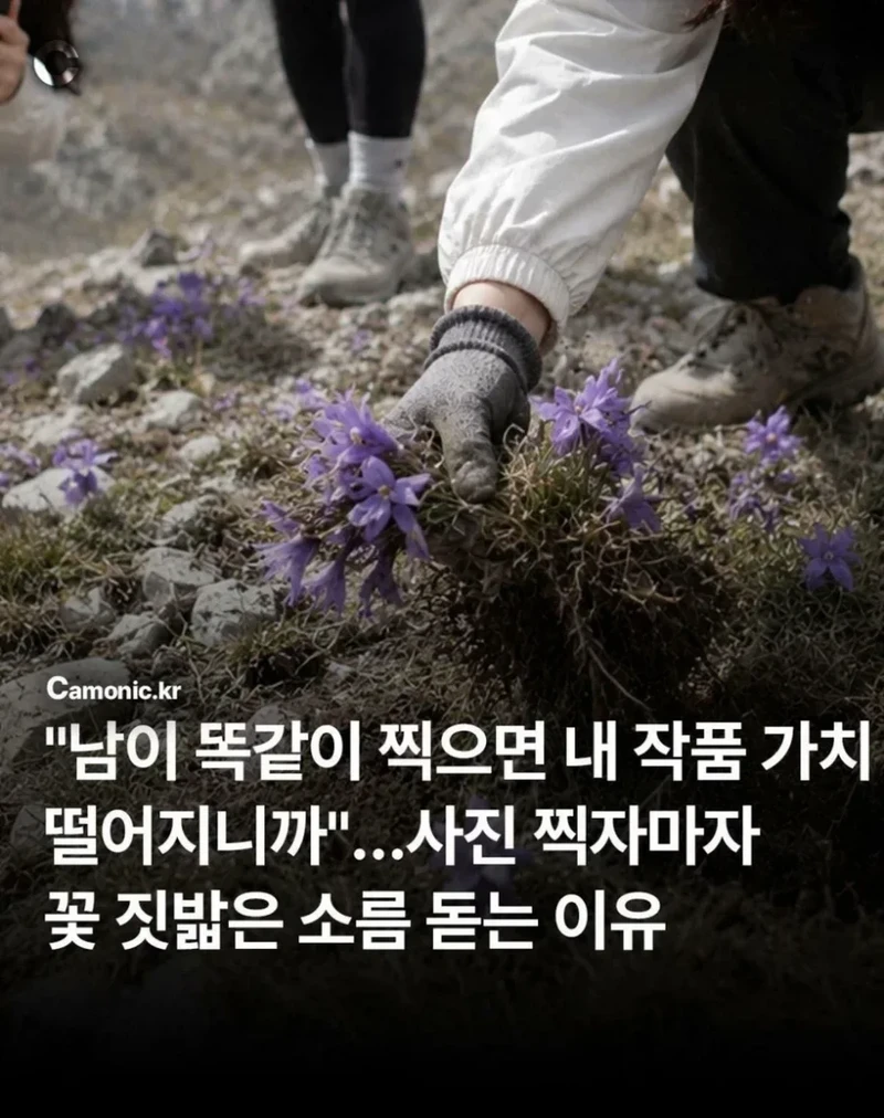 사진작가 동호회의 엽기적인 행각