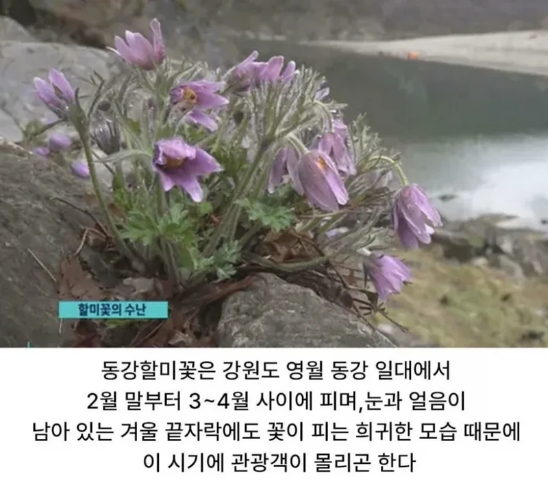 사진작가 동호회의 엽기적인 행각-3