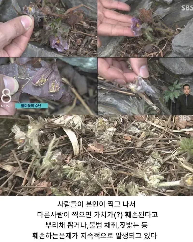 사진작가 동호회의 엽기적인 행각-6