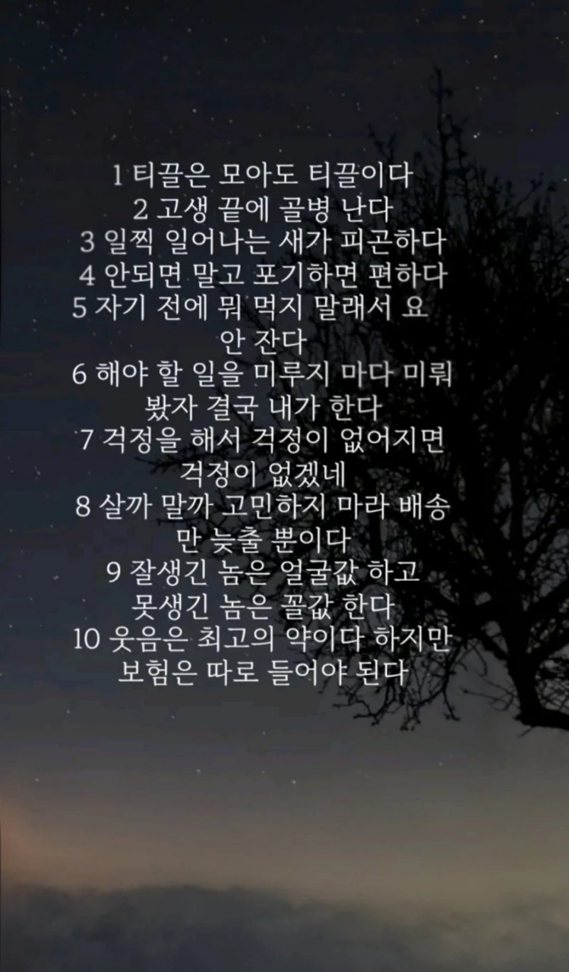 웃긴 명언10가지