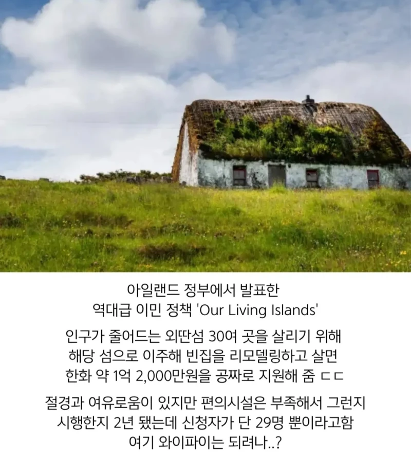 아일랜드이주비용 1억3천만원 지원-2