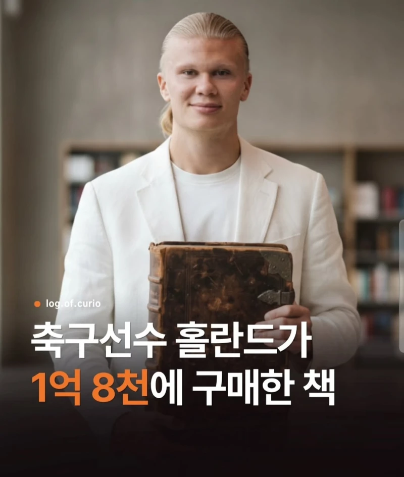 홀란드 취미