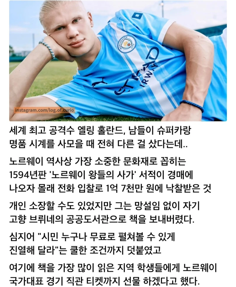 홀란드 취미-2