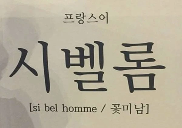 프랑스어로 꽃미남