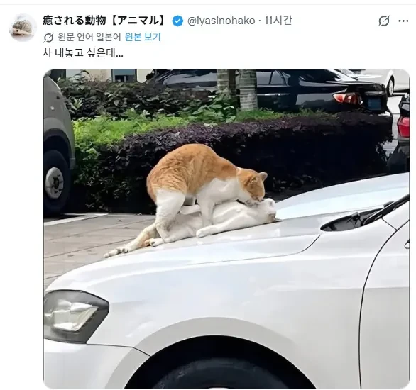 두 분 대낮부터 거기서 뭐하세요