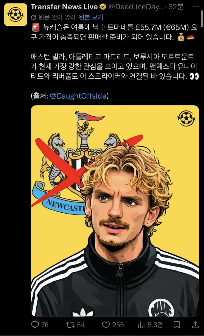 뉴캐슬 근황