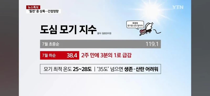 요즘 안보이는것-2